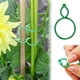 thumbnail image 1 of Clips para plantas trepadoras, bridas reutilizables para plantas de jardín, paquete de 100, soporte para enredaderas con agarre suave, fáciles de usar para guiar enredaderas en espalderas,, 1 of 8