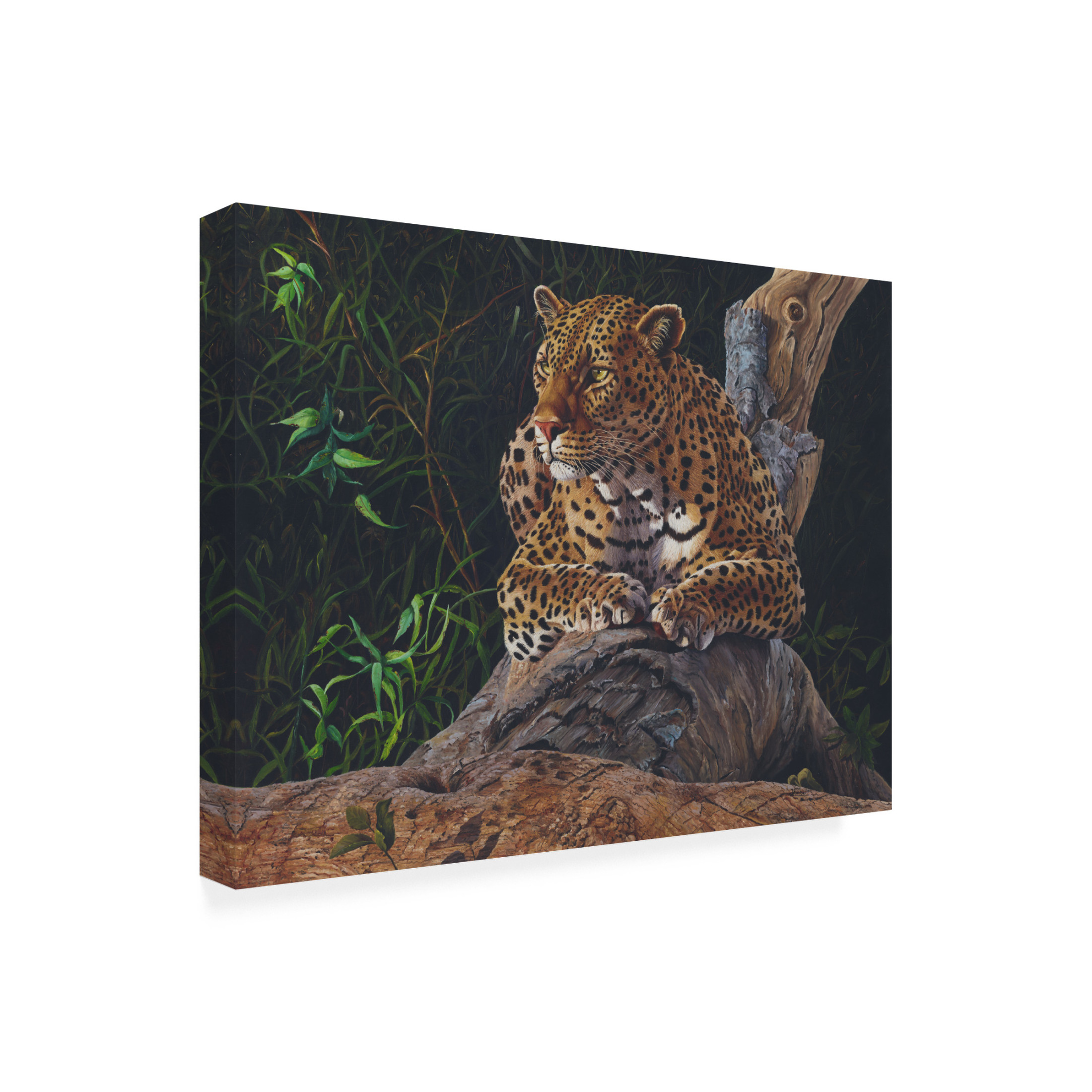 Canvas Wall Art - Delene Lambert 'Daydreaming' Wall Art for Living Room, Bedroom, or Office Décor by Trademark Fine Art - 32 x 24 Inches