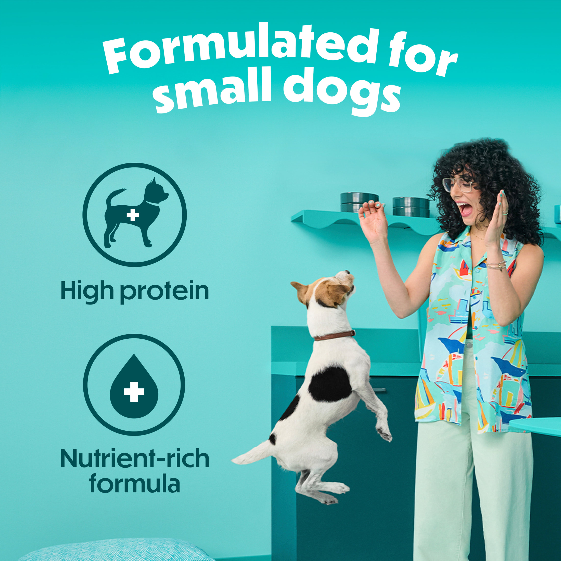 Beneful Incredibites Farm-Raised Beef Small Breed Dry Dog Food photo 3