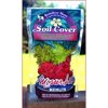Mosser Lee 3 oz Reindeer Multicolored Terrarium Moss