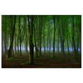 thumbnail image 1 of BSDHOME Polyester 7x5ft Green Forest Photography Background Photography Backdrop Studio Prop, 1 of 3