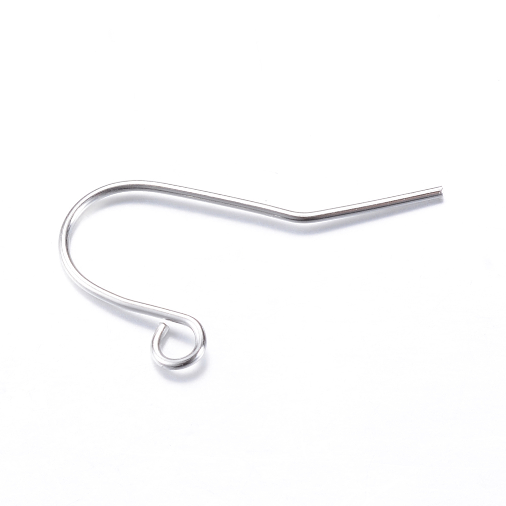 5000pc Iron Earring Hooks Ear Wire with Horizontal Loop Nickel Free Platinum 19x16mm Hole: 2mm 22 Gauge Pin: 0.6mm