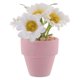 thumbnail image 1 of GOOHOCHY Plantas pequeñas para casa de muñecas, centros de mesa de margaritas realistas, mini margaritas artificiales, flores en maceta, modelo de bonsái en miniatura, 1 of 8