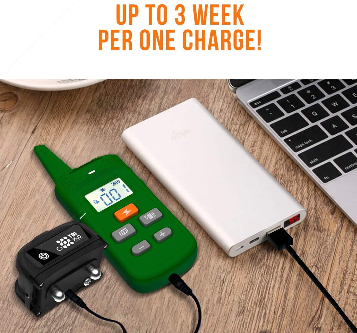 tbi dog training collar with remote