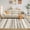 Elephant, variant on YIMEIS 2'x3'Area Rugs for Living Room,Non Slip Washable Rugs Boho Moroccan Area Rug Soft Neutral Bohemian Carpet Distressed Indoor Rug for Bedroom Dining Room(2'x3' Beige)