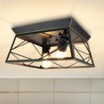 thumbnail image 1 of DingLiLighting 12" 2-light Flush Mount Ceiling Light for Kitchen, Industrial Caged Square Chandelier, Farmhouse, Indoor, E26 Base, 1 of 8