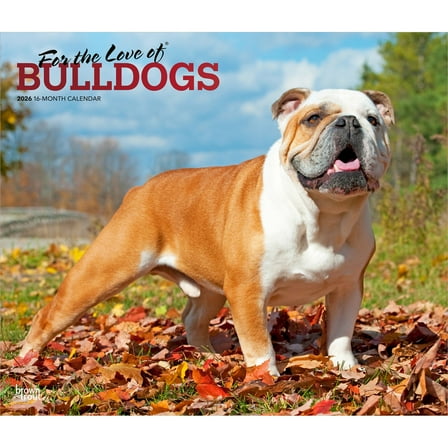 For the Love of Bulldogs | 2026 14x24" (Hanging) Wall Calendar | Plastic-Free
