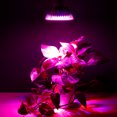 thumbnail image 3 of LED Grow Light Bulb 15W E27 10 Red + 5 Blue LEDs AC 85-265V for Indoor Plants, 3 of 5
