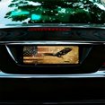 thumbnail image 7 of Soaring Eagle over Textured Flag Front License Plate, Funny Standard Plates Personalized Novelty Decorative For Men/Women/Boys/Girls Car 6×12 Inch, 7 of 7