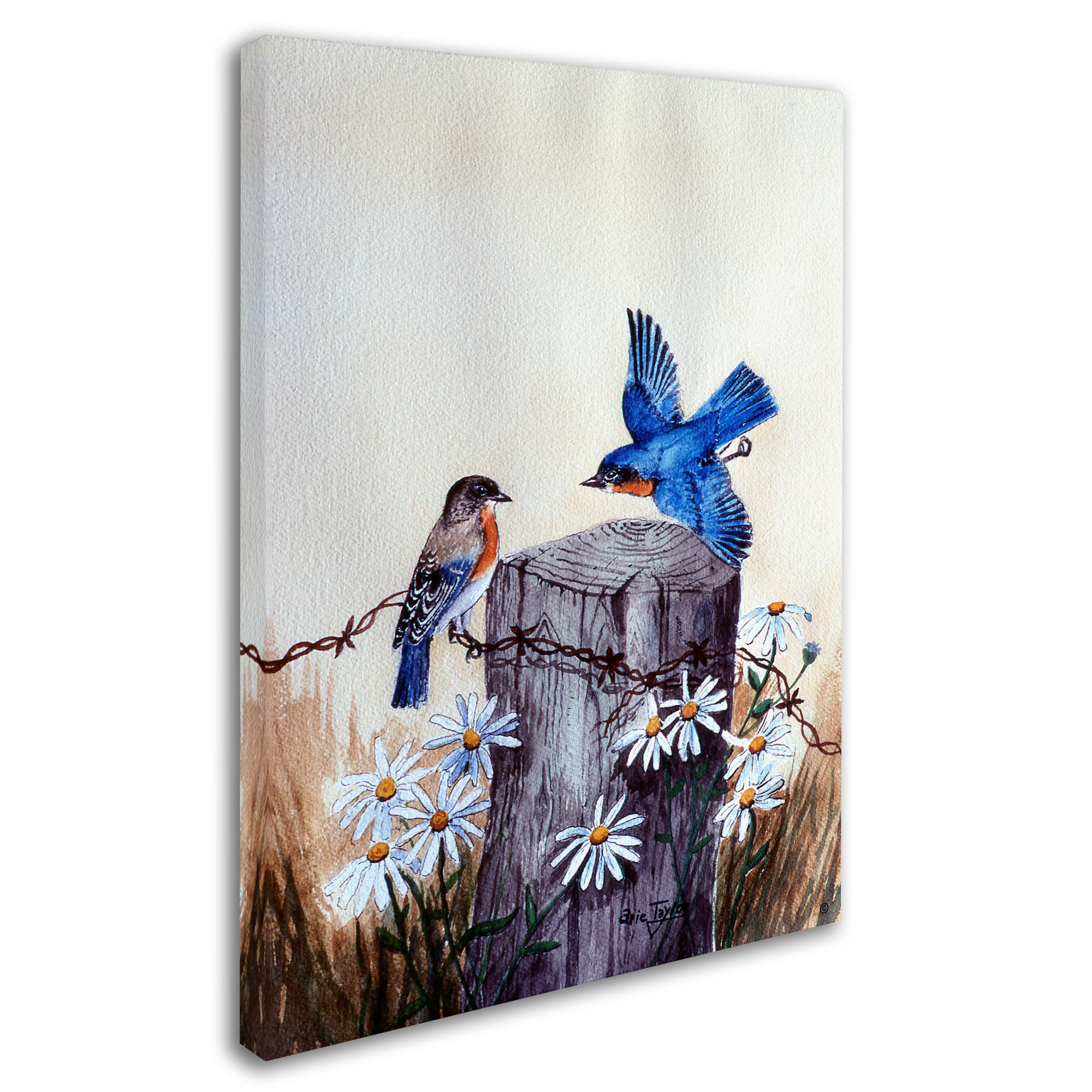 Trademark Fine Art 'Bluebirds With Daisies 3' Canvas Art by Arie Reinhardt Taylor