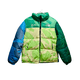 thumbnail image 1 of Chamarra The North Face x Kaws The Nuptse Verde Talla M, 1 of 6