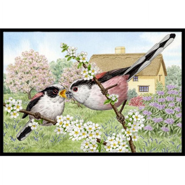 Carolines Treasures ASA2200MAT Seins à Longue Queue Tapis Intérieur Ou Extérieur- 18 x 27