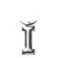 thumbnail image 3 of Solid Metal Initial Keyring - I, 3 of 3