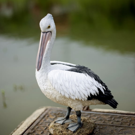 SOREAL White pelican | Handcrafted Decorative Bird Statue for Home & Garden | Premium Polyresin, Weather-Resistant Indoor/Outdoor Decor