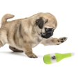 thumbnail image 4 of 2PCS Wine Bottle Pet Toy Realistic Cat Squeaky Toy Puppy Plush Toy for Dogs, 4 of 10