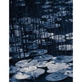 thumbnail image 3 of Cozart, Rebecca 20x24 Black Modern Framed Museum Art Print Titled - Lilly Pond Blue I, 3 of 5