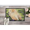 thumbnail image 2 of Carolines Treasures SS8833MAT Golden Retriever Tapis Intérieur Extérieur - 18 x 27 Po., 2 of 4