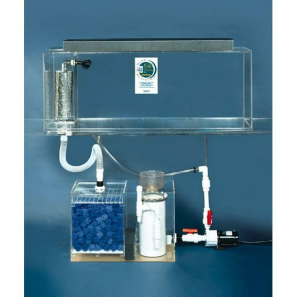 Clear For Life Deluxe Rectangular Aquarium For Life Deluxe Rectangular Aquarium