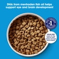 thumbnail image 4 of Nature's Recipe Grain Free Puppy Dry Dog Food Chicken, Sweet Potato & Pumpkin, 4 lb Bag, 4 of 11