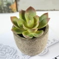 thumbnail image 2 of Linaichen fake succulent Artificial Potted Plants & Small Succulents for Home & School Decoration, 2 of 2