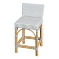 thumbnail image 1 of Butler Specialty Serienna Rattan Low Back 24.5" Counter Stool - White/Gray, 1 of 7
