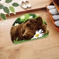 thumbnail image 2 of serony Creative Carpet Latch Hooking Kits 50cm x 36cm Dog Pattern for Home Adults, 2 of 9