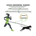 thumbnail image 4 of Comfortable And Versatile Hands Free Dog Leash With Waist Running Adjustable, Dual Bungees Provide Enhanced Control And Safety For Running And Exercising, 4 of 5