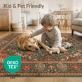 thumbnail image 4 of ODIKA 2'x3' Washable Doormat Vintage Abstract Distressed Scrollwork Medallion Terracotta Border for Entryway, Kitchen, Laundry Room, Non-Slip, Low Pile, 4 of 7