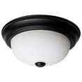thumbnail image 2 of Nuvo 60-213 - 2 Light - 11" - Flush Mount - Alabaster Glass, 2 of 15