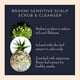 thumbnail image 3 of Exfoliante y limpiador AyurVita para cuero cabelludo sensible con Brahmi 250 g, 3 of 5