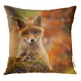 thumbnail image 1 of RYLABLUE Red Fox Portrait Foxes Brown Baby Face Pup Beast Throw Pillowcase Cushion Case Cover, 1 of 1