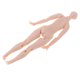 thumbnail image 4 of 20 Articuciones de Cuerpo Y Manos Desnudas Naturales para Accesorios de Bricoje de Muñeca Media, 4 of 9