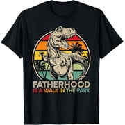Fatherhood Walk In Park Dinosaur Dad T-Shirt