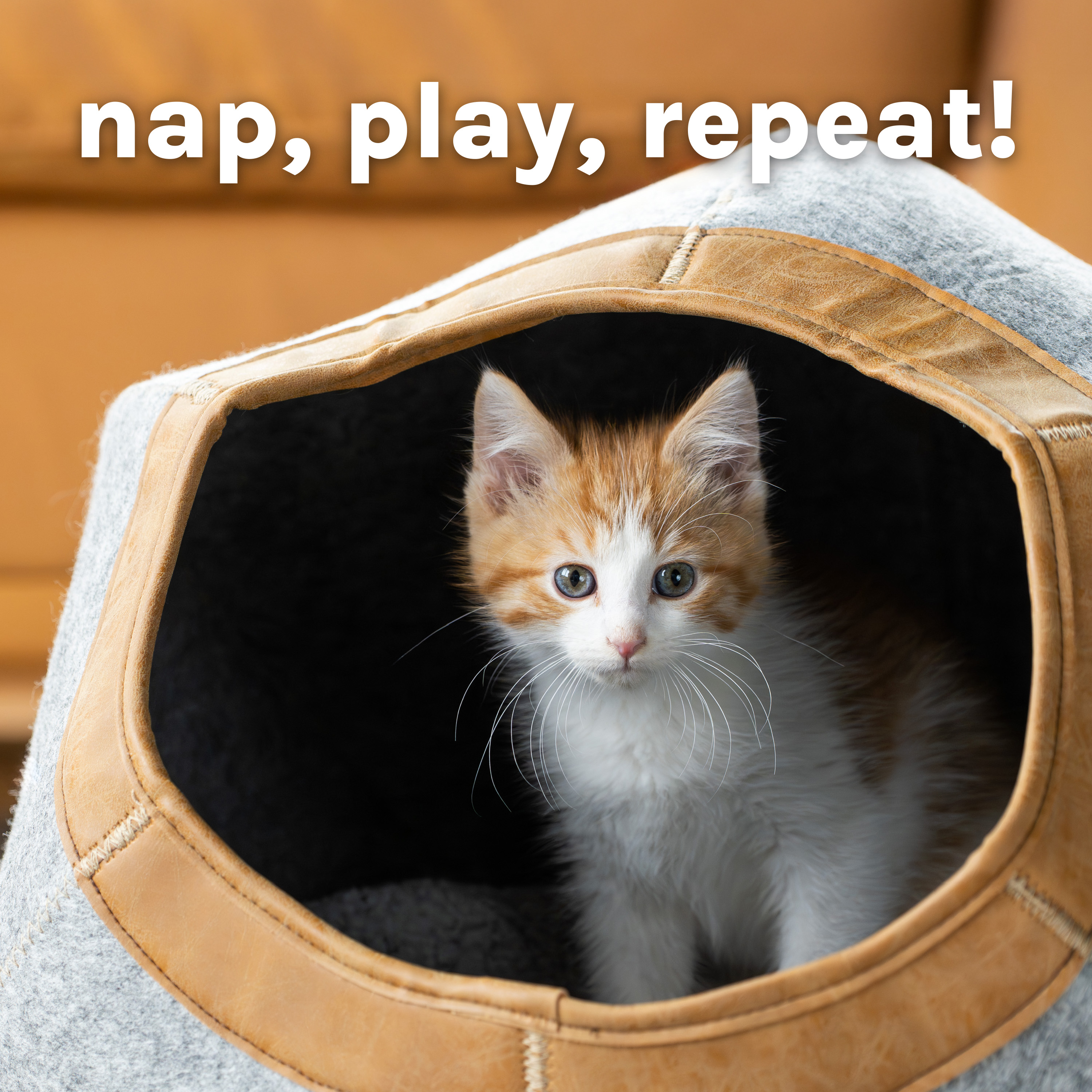 Kitty City Large Felt Cat Cave with Faux Leather Trim photo 7