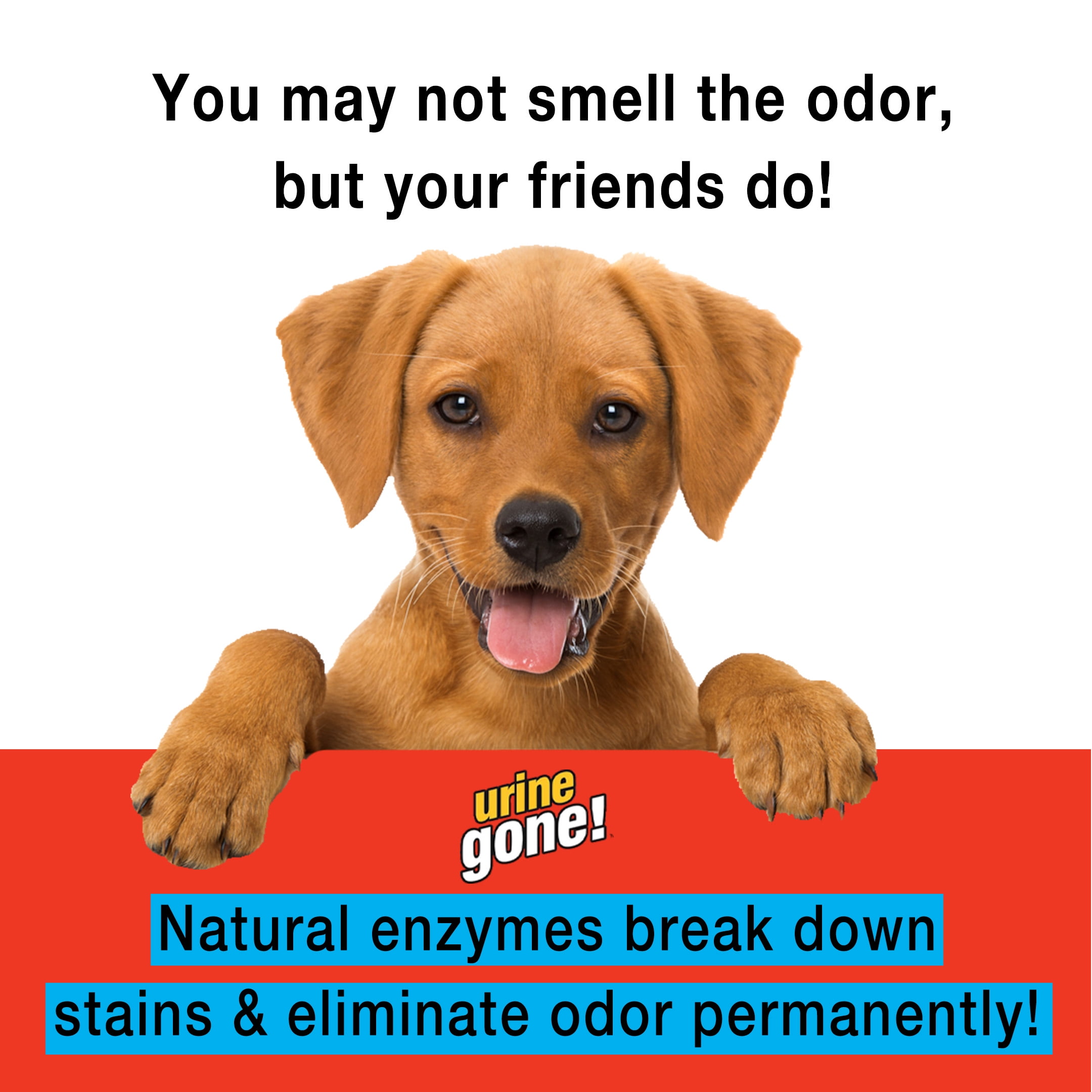 Urine Gone! Pet Stain Odor Remover, 24 Fluid Ounce