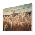 thumbnail image 2 of Designart "Meadows of White Pampas Grass I" Floral Print on Natural Pine Wood, 2 of 5