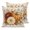 Red, Orange, Beige, variant on Fall Thanksgiving Pillow Covers 20x20 Set of 2, Orange Pumpkins Leaves Floral Harvest Throw Pillow Covers Decorative Couch Cushion Cover, Microfiber Soft Pillowcases for Bedroom Living Room Sofa