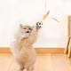thumbnail image 5 of Juguete para gatos, pelota interactiva que rebota para gatos de interior y exterior, juguetes activos para gatos, pelotas para gatos, juguetes interactivos para gatos, juguetes portátiles, 5 of 8
