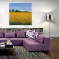 thumbnail image 5 of Epic Art 'Field of Sunflowers I' by Tim O'Toole, Acrylic Glass Wall Art, 36"x36", 5 of 6