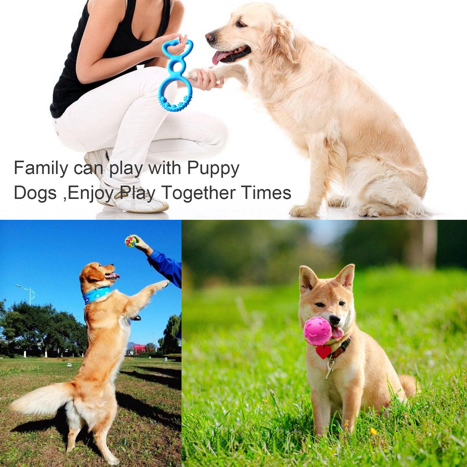 Small Dogs Puppy Toys 17pack Cute Variety Shape Multi Colors Designs To Bite Anytime Enjoy Supplies