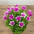 thumbnail image 3 of fastboy Artificial Flower Bonsai Plastic Fake Flower Pot Home Decor Simulation Bonsai Home Decoration, 3 of 7