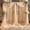 Champagne-W5' x H10'(2 panels), variant on Champagne W5' x H8'(2 panels) Tulle Party Decoration Backdrop Curtain with Lights
