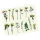 thumbnail image 4 of 30Pcs Vintage Plants Flowers Leaves Stickers Vintage Retro Flower Plant Stickers Decals for Laptop Scrapbooking Journal Planner Card Making Amidst The Mountain Mist, 4 of 5