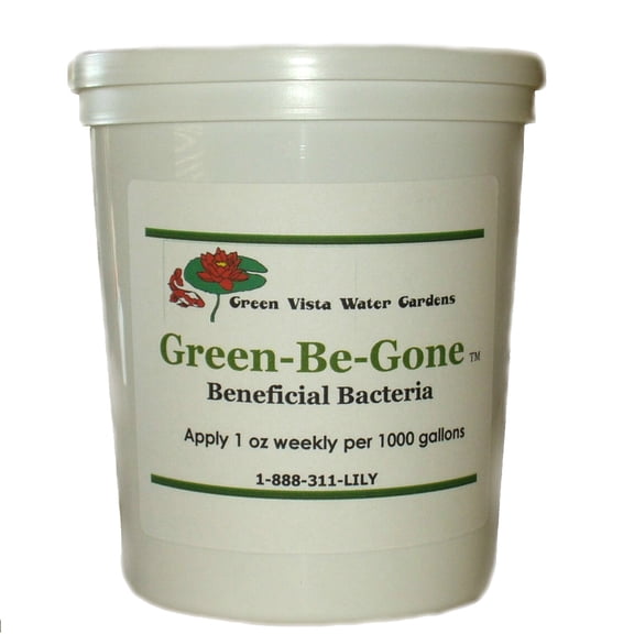 Green-Be-Gone Beneficial Pond Bacteria 16 oz
