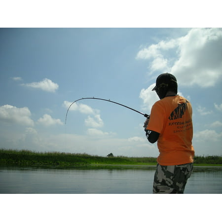 LAMINATED POSTER Freshwater Fish Angling Angler Catch Hobby Poster Print 24 x (Best Freshwater Fish To Catch)