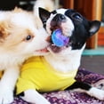 thumbnail image 5 of Ball, Squeaker, Small, 2 pk, 5 of 5