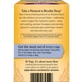 thumbnail image 5 of Yogi Tea - Breathe Deep (6 Pack) - Supports Respiratory Health with Eucalyptus, Thyme, and Mullein Leaves - Caffeine Free - 96 Organic Herbal Tea Bags, 5 of 6