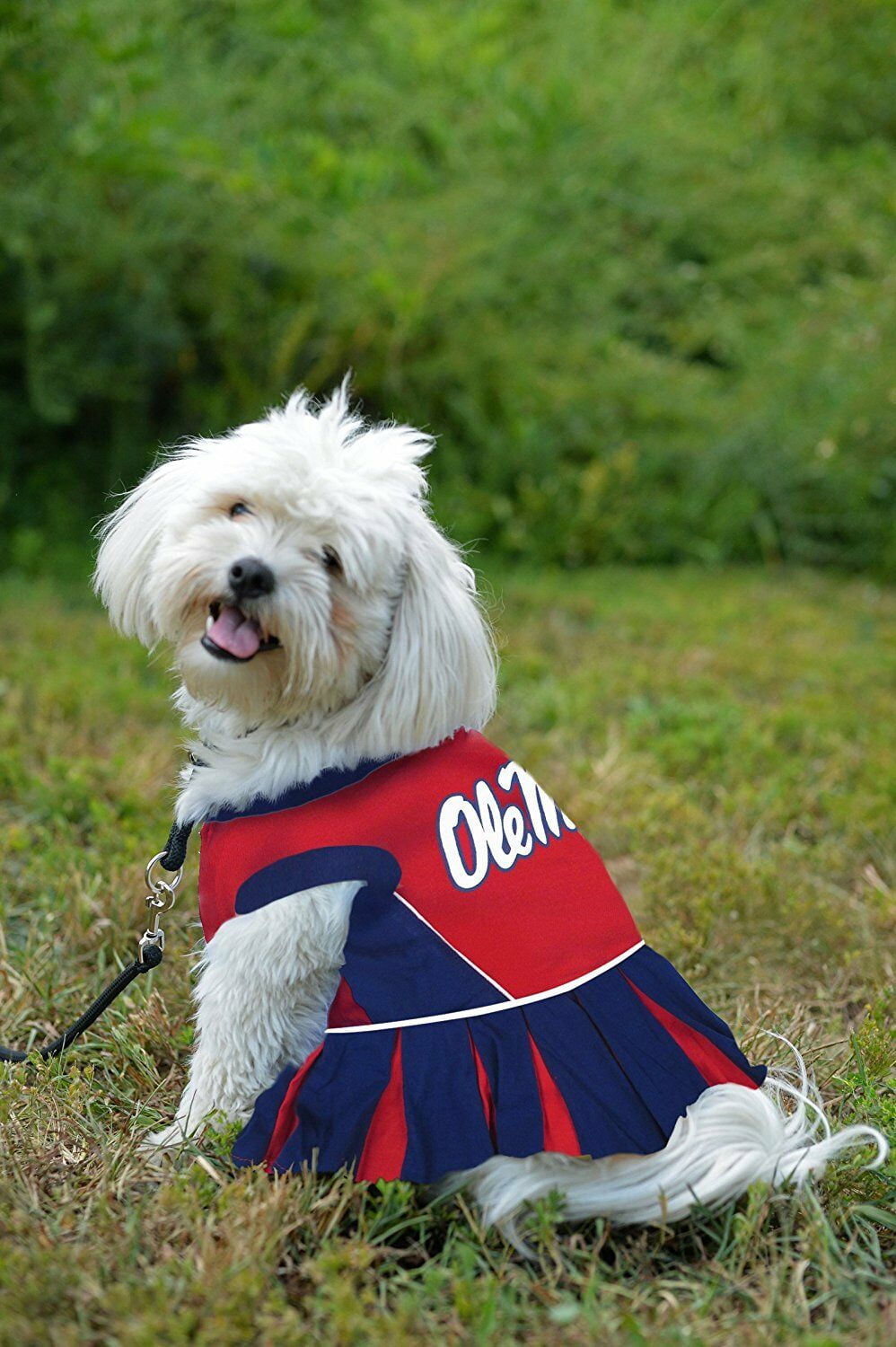 Pets First NFL Las Vegas Raiders Cheerleader Outfit, 3 Sizes Pet Dress  Available. Licensed Dog Outfit 