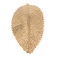 thumbnail image 2 of KLKCMS Collier Pendentif DIY Breloques Feuilles Perles Médaillon - Or, L L, 2 of 8