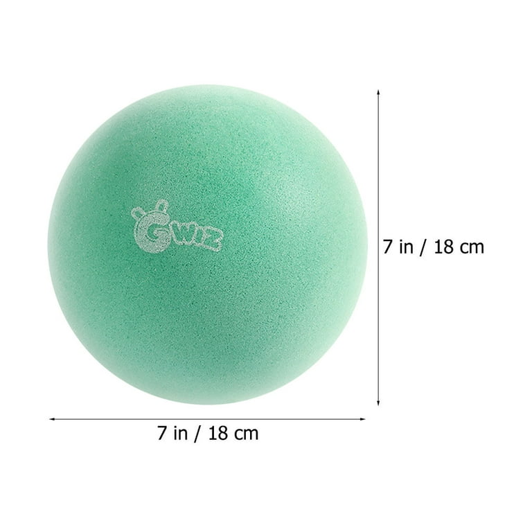  Surakey 10 inch Elastic Ball Mute Silent Bouncy Ball Dodge Game  Clapping Ball with Mesh Bag Children Low Noise Basketball Training Parent  Child Interaction Outdoor Sports - Green 25CM : Toys